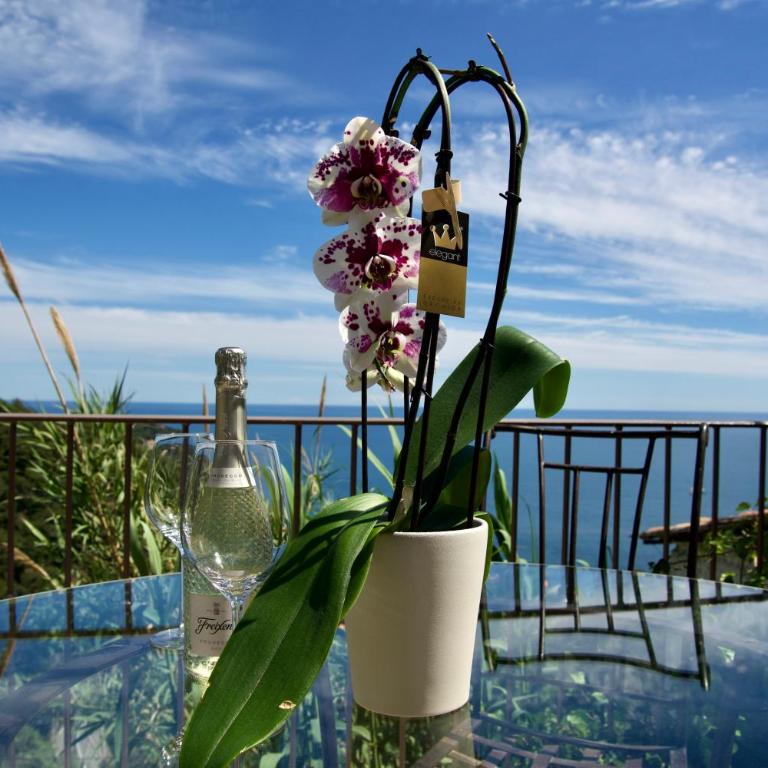 Petit coin de Paradis a cote de Monaco - Villa 2 Chambres - 7