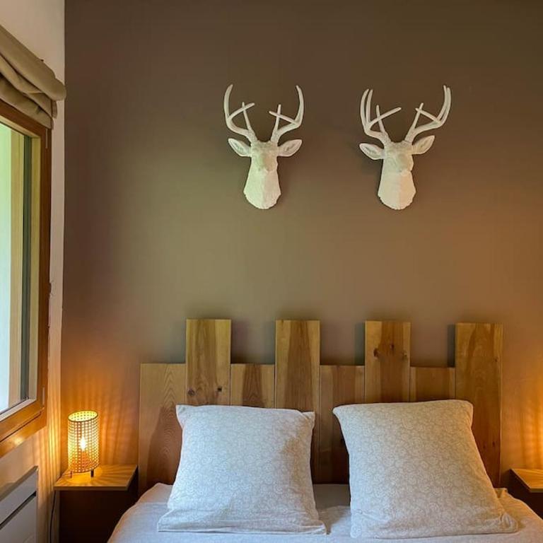 Les Vues de Lily - Châtel - Appartement 2 Chambres - 18