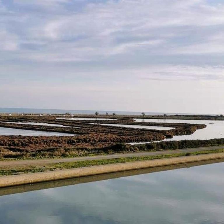 Appartement près de la plage, un coin paradis ! - Appartamento con 3 Camere da Letto - 28