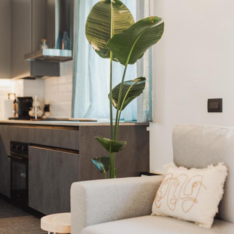 surf house - One-Bedroom Apartment - 2