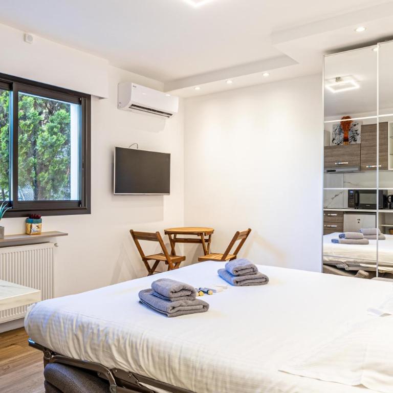 4 BARON - Spacieux studio rénové quartier des Anglais - Studio-Apartment mit 1 Doppelbett - 5