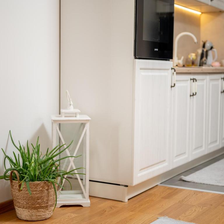 Omnia - One-Bedroom Apartment - 28