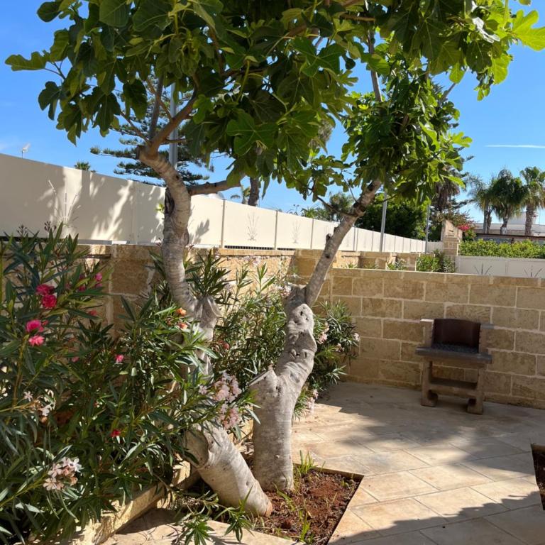 Salento Appartamento Stella - Appartamento con 1 Camera da Letto - 17