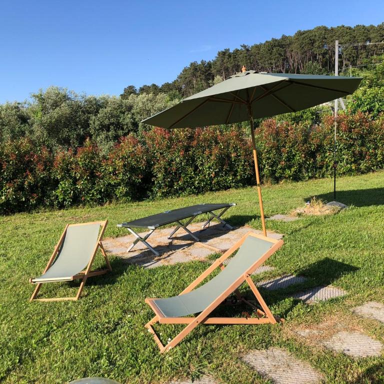 Intero alloggio campagna Lucca - Casa con 1 Camera da Letto - 37