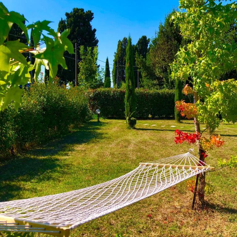 Intero alloggio campagna Lucca - Casa con 1 Camera da Letto - 2