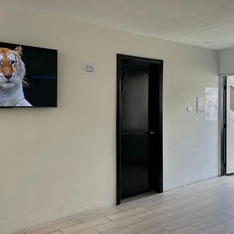 Tourits Logde 2 bedroom 2 badroom - Apartamento de 2 dormitorios - 4