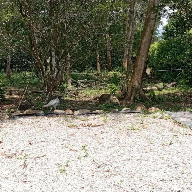 Cabaña ALJOS - Villa de 2 dormitorios - 22