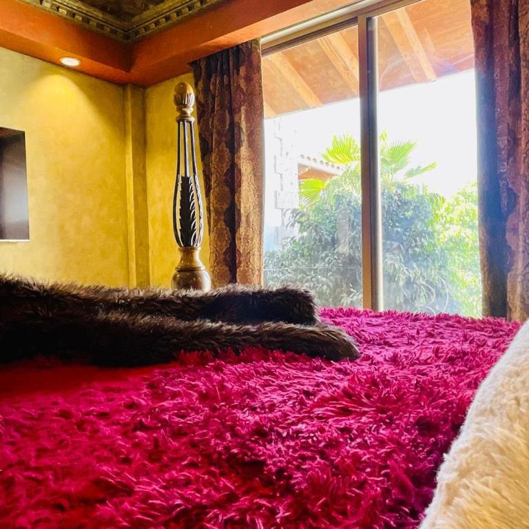 Beautiful house in Rocky Point - Casa de 4 dormitorios - 76