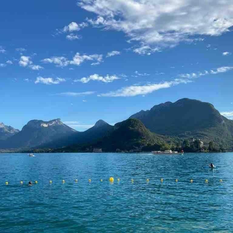 Appartement Duplex vue lac et montagne à Talloires - Appartement 2 Chambres - Vue sur Lac - 44