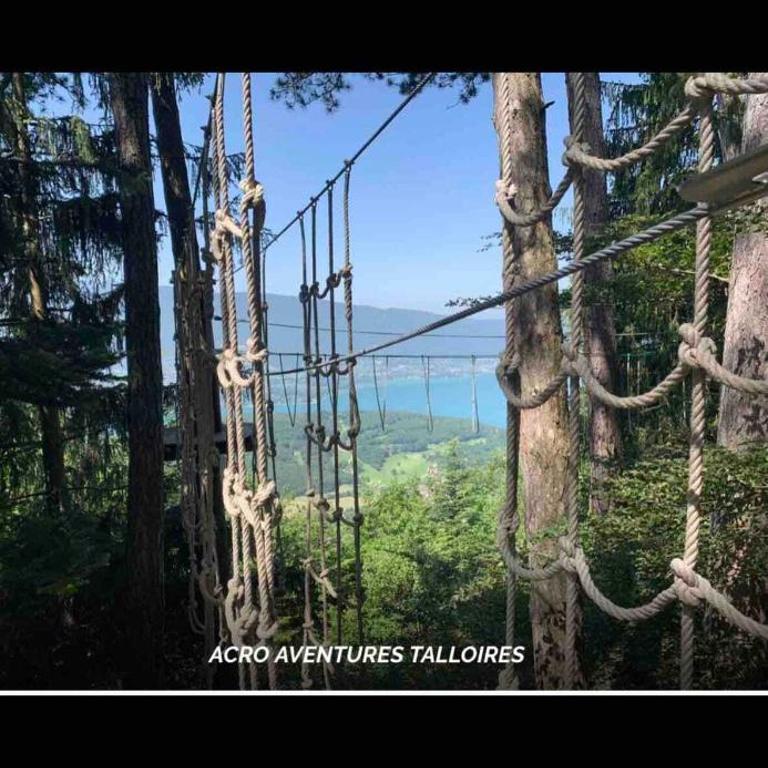 Appartement Duplex vue lac et montagne à Talloires - Appartement 2 Chambres - Vue sur Lac - 78