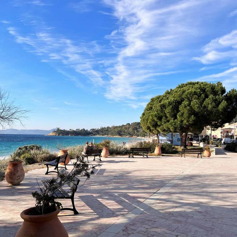 Appartement Duplex 100m Plage, Terrasse, Parking, 4 Couchages - Le Lavandou - FR-1-251-533 - Appartement - 10