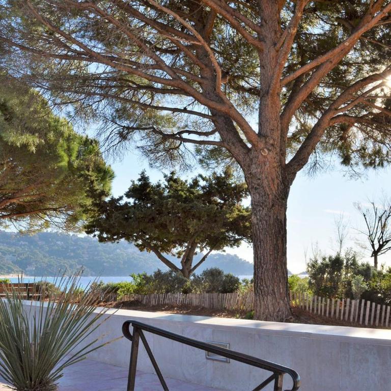 Appartement Duplex 100m Plage, Terrasse, Parking, 4 Couchages - Le Lavandou - FR-1-251-533 - Appartement - 12