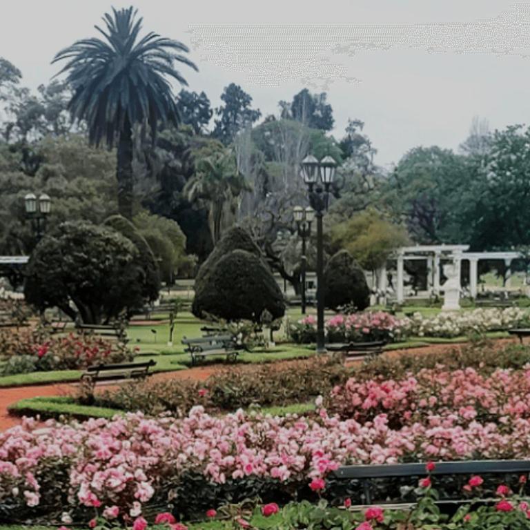 Enjoy VALLANhost @ Studio Soler - Apartamento - 24