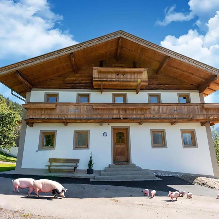 Farmhouse in Wildkogel near Ski Slopes - Maison de Vacances 5 Chambres - 2