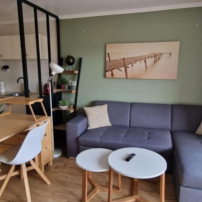 La Mésange, vue montagnes à deux pas du lac - Appartement 1 Chambre - 9