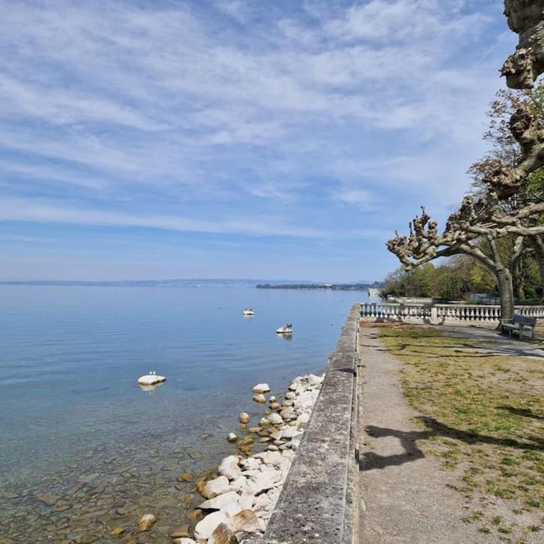 La Mésange, vue montagnes à deux pas du lac - Appartement 1 Chambre - 13