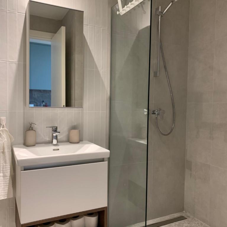 Belgrade Waterfront - Beograd na vodi - BG011 - Apartman sa 1 Spavaćom Sobom - 17