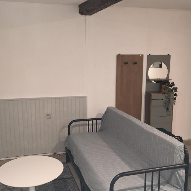 Bordeaux : grand studio cosy avec cour privative - Appartement 1 Chambre - 2