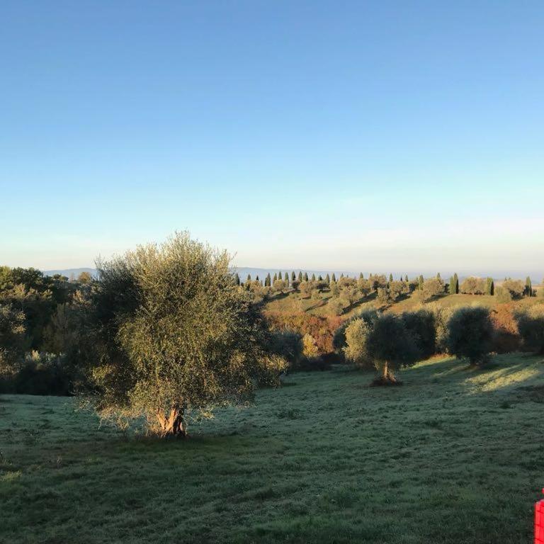 Rododendro casa sulle colline Toscane vicino San Giminiano - Casa con 2 Camere da Letto - 7