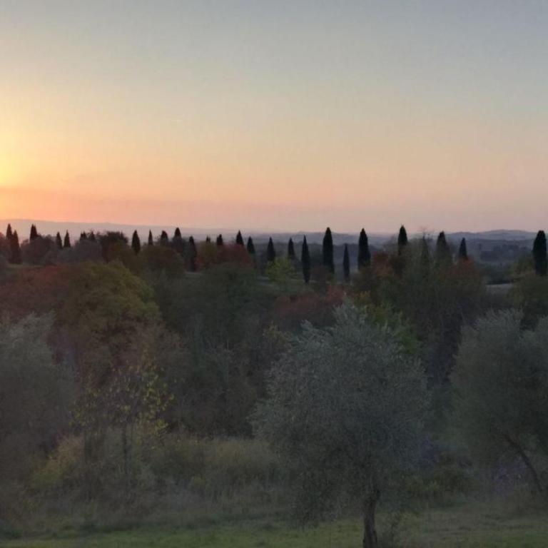 Rododendro casa sulle colline Toscane vicino San Giminiano - Casa con 2 Camere da Letto - 6