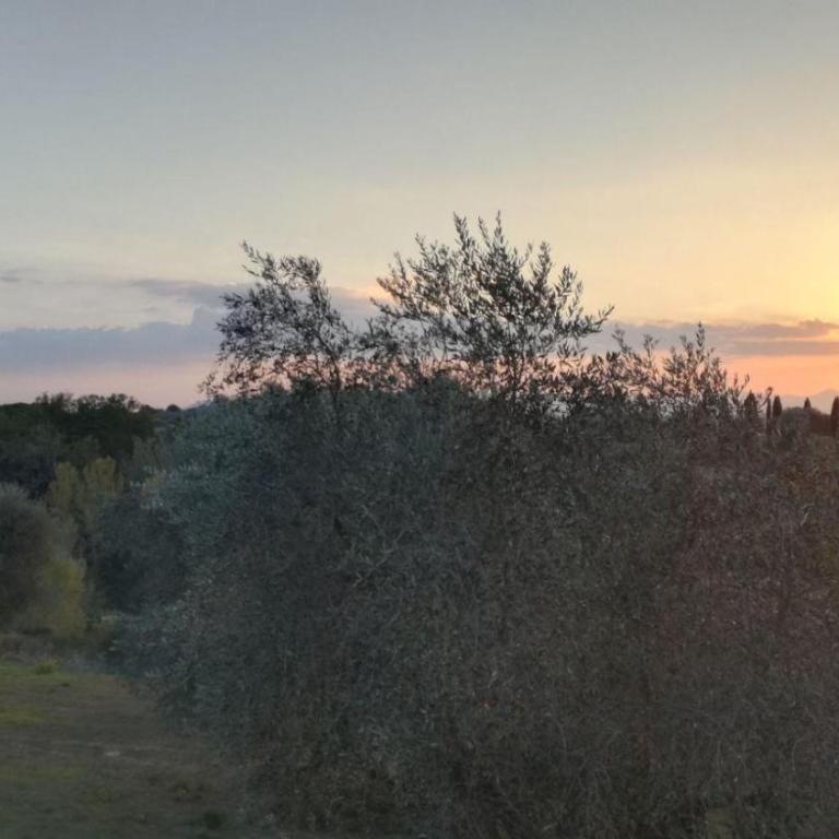 Rododendro casa sulle colline Toscane vicino San Giminiano - Casa con 2 Camere da Letto - 5