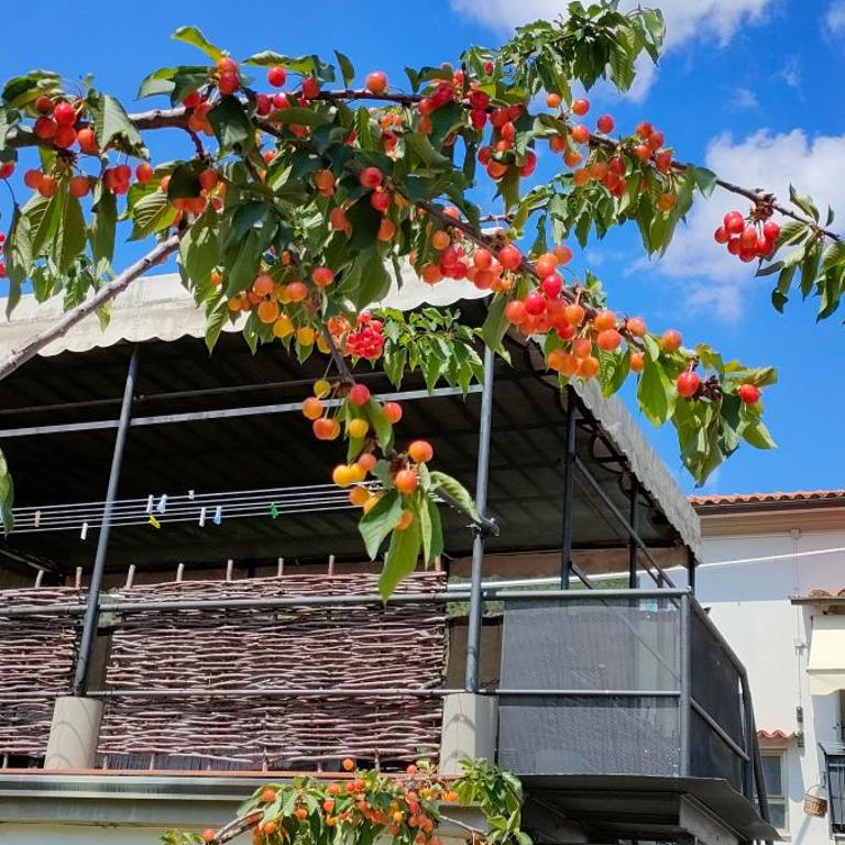 La tenuta di Eva - Two-Bedroom Apartment - 17