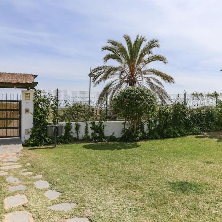Palm Beach Beachfront - Apartamento de 3 dormitorios - 24