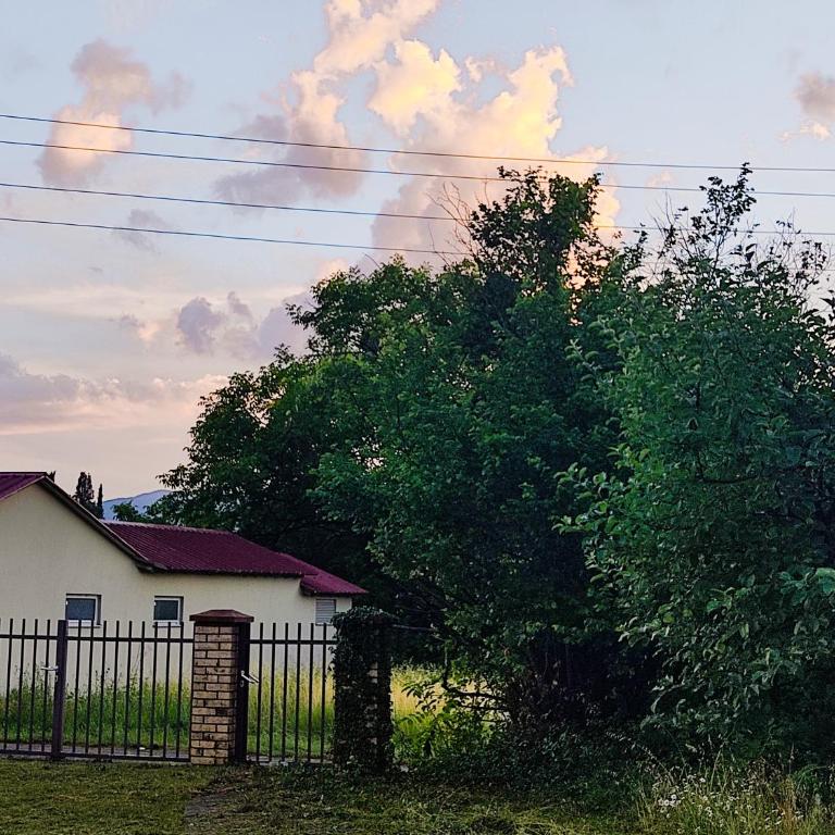 Green Cottage - Two-Bedroom House - 26