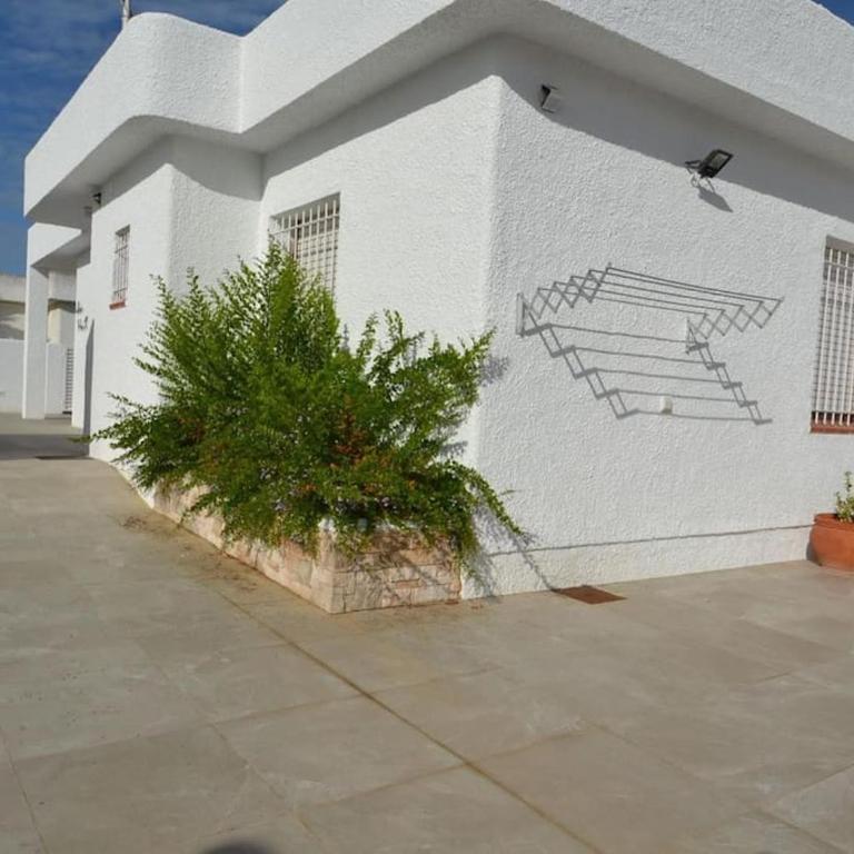 Blança - Two-Bedroom House - 11