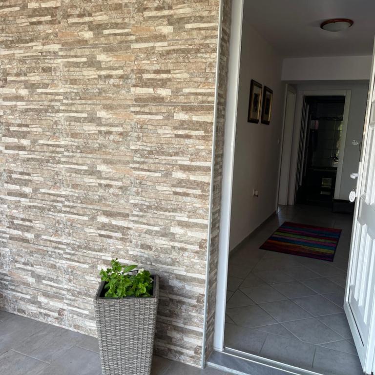 Apartment Vila Tara - Double or Twin Room - 5
