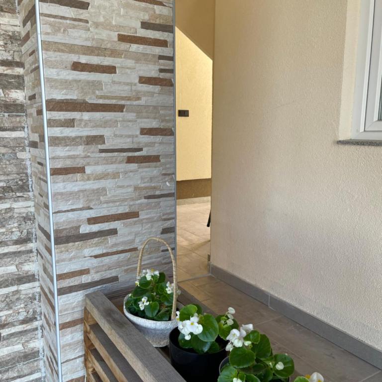 Apartment Vila Tara - Double or Twin Room - 4