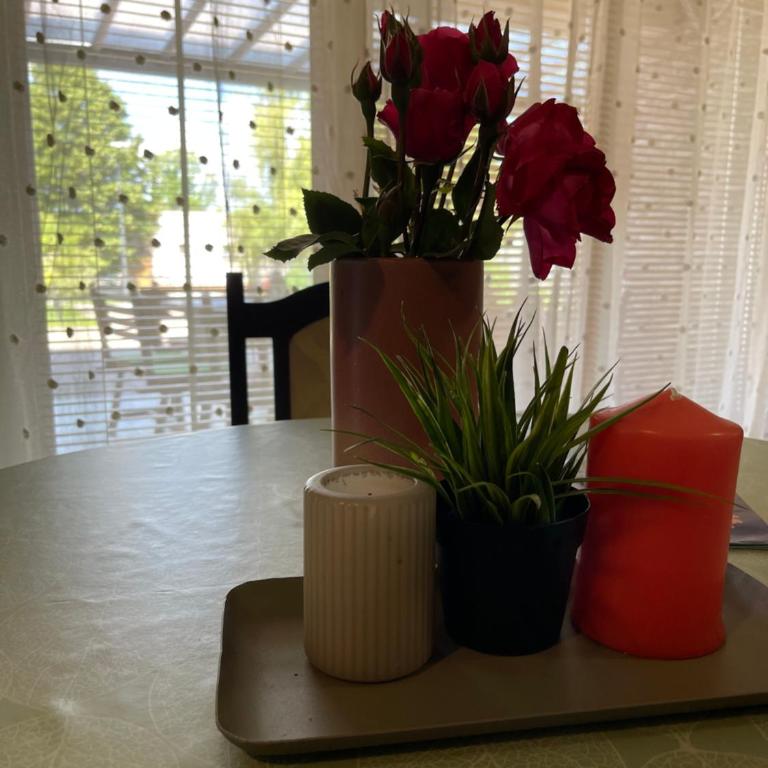 Apartment Vila Tara - Double or Twin Room - 3
