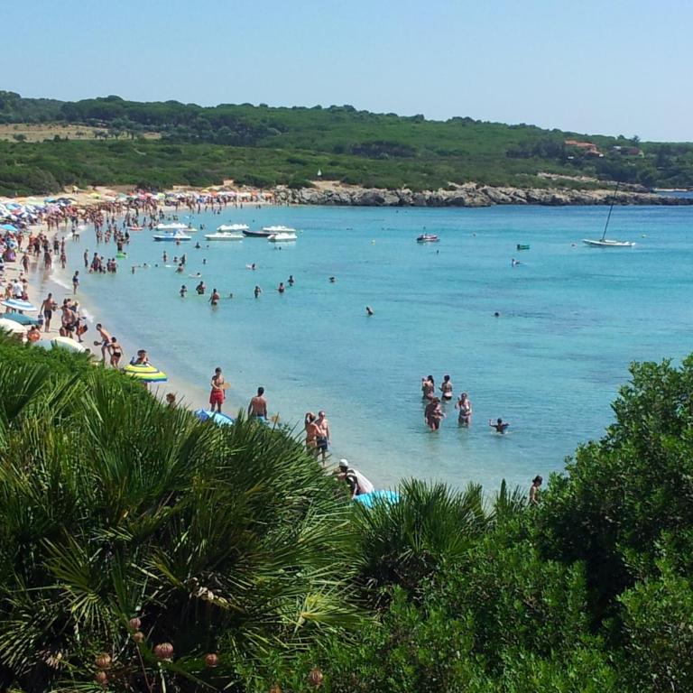 Capo Caccia Home Holidays - Appartamento con 3 Camere da Letto e Vista Mare - 46