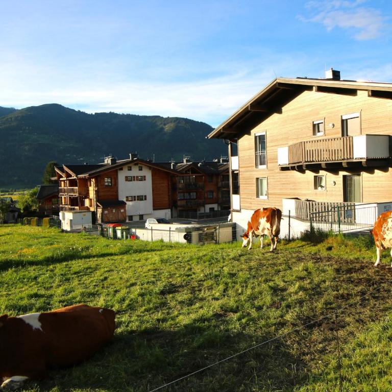 Apartment Peter-Adler Resort - One-Bedroom Apartment with Balcony and Mountain View - 17