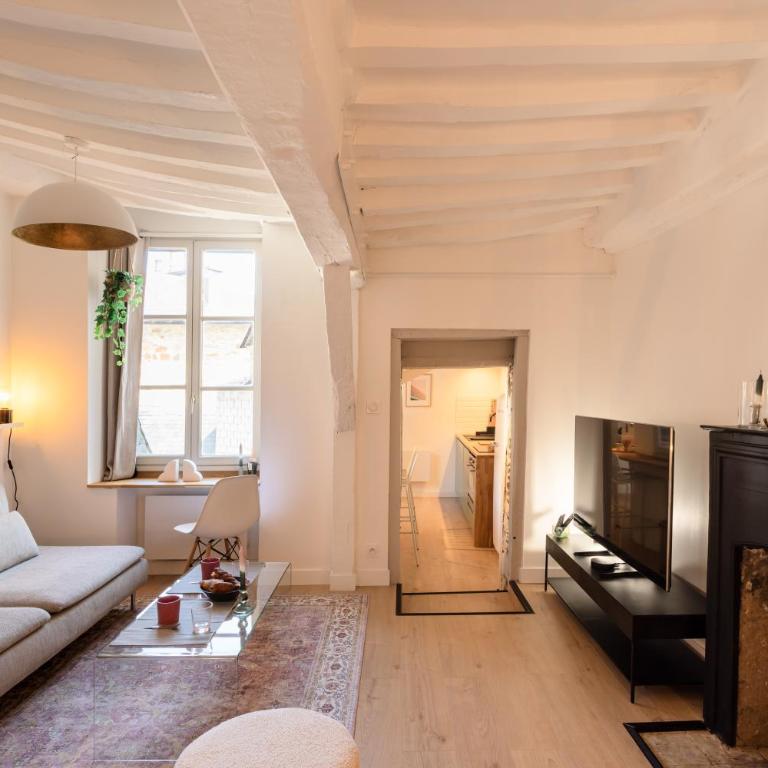 Appartement la vie en rose - Centre historique - Appartement 1 Chambre - 13