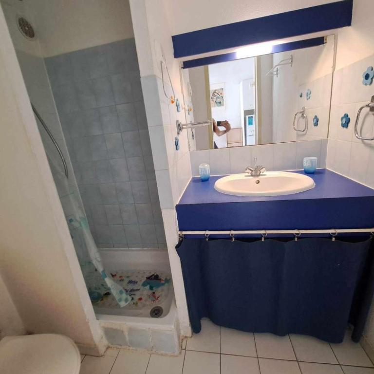 Appartement 1 chambre et mezzanine, 4-6 couchages, parking privé - FR-1-326-505 - Appartement (6 Adultes) - 8