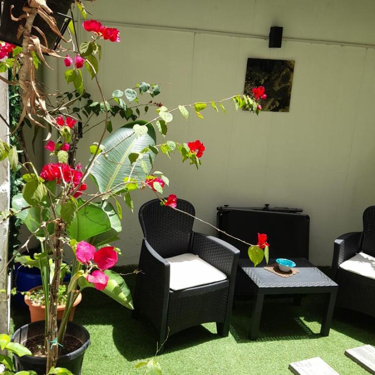 Garden Suite Apartment - One-Bedroom House - 3