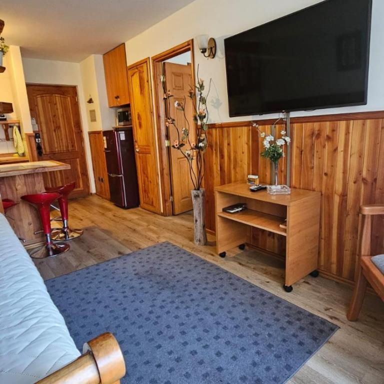 Depto Pucon 800 - Apartamento con vistas al jardín - 9