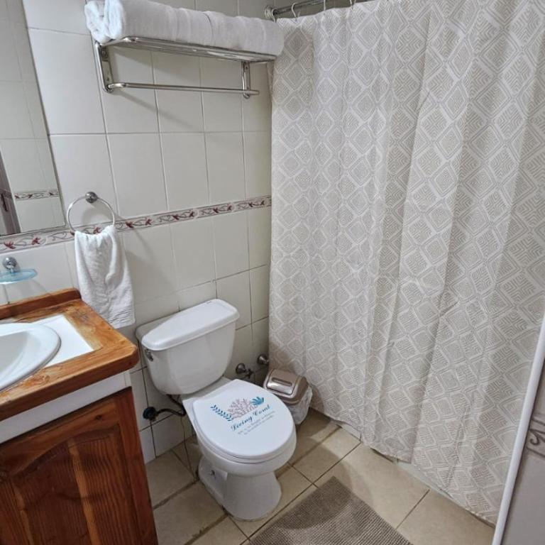 Depto Pucon 800 - Apartamento con vistas al jardín - 6