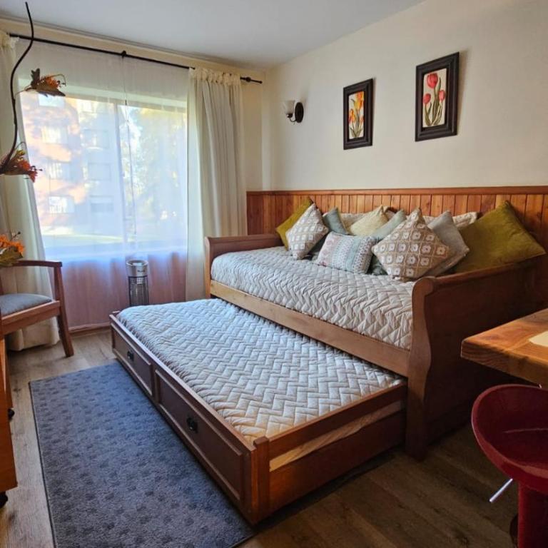 Depto Pucon 800 - Apartamento con vistas al jardín - 3