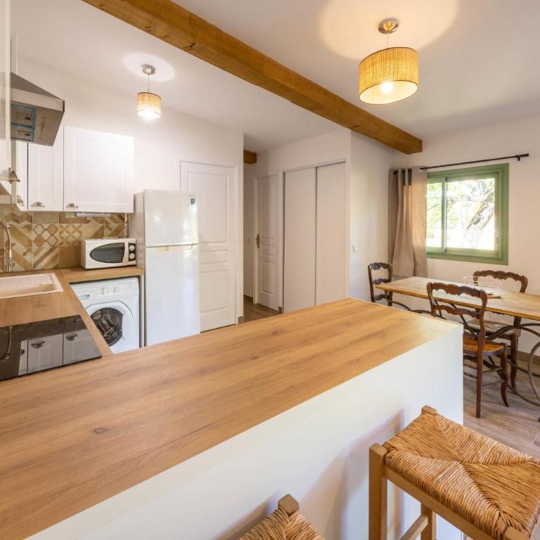 06BV2 Joli cottage au calme avec piscine - Appartement - 25