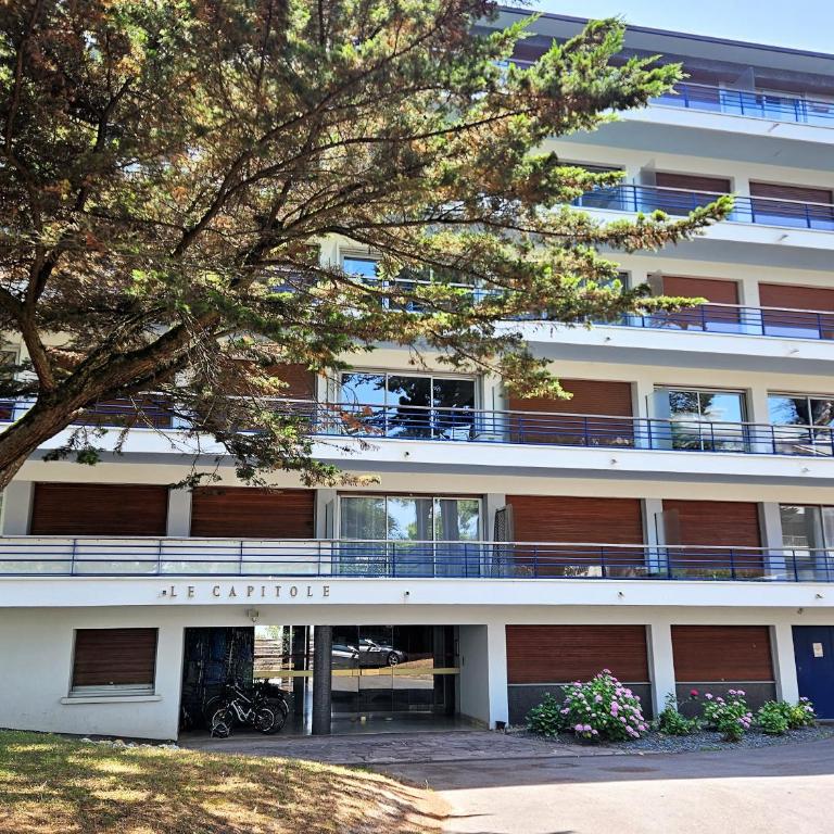 Le Capitole - Studio d'exception accès direct à la plage Benoît - Monolocale con Vista Giardino - 36