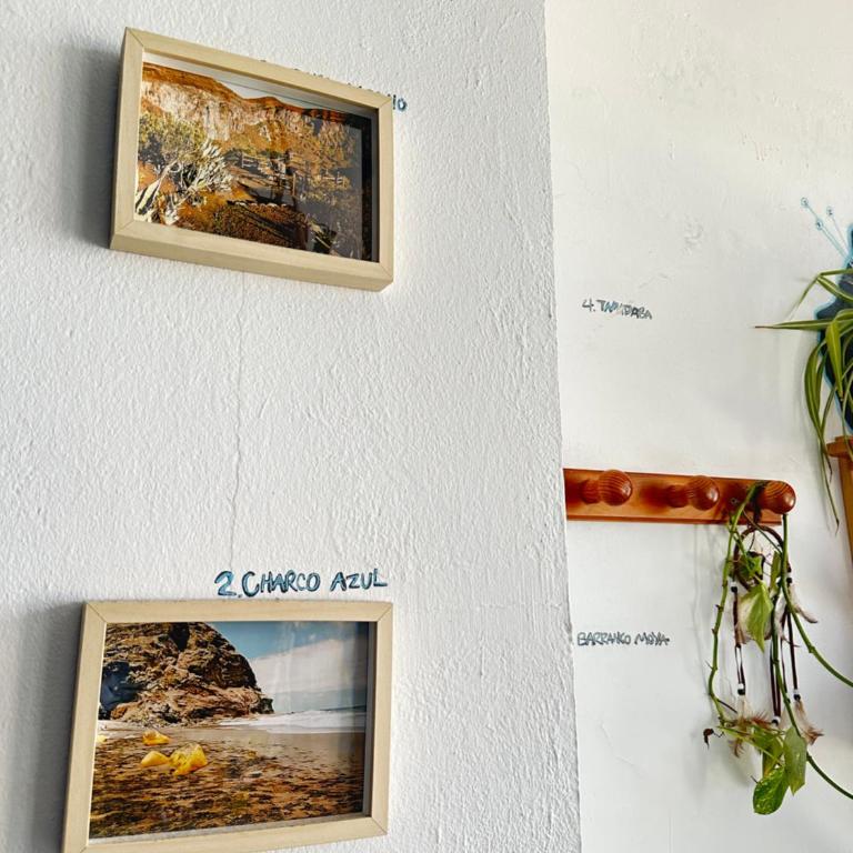 Agüita House - Litera en habitación compartida mixta - 5