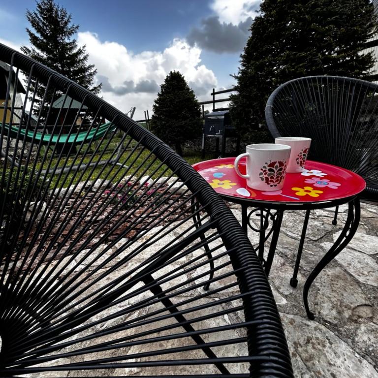 NV Mountain House - Two-Bedroom House - 28