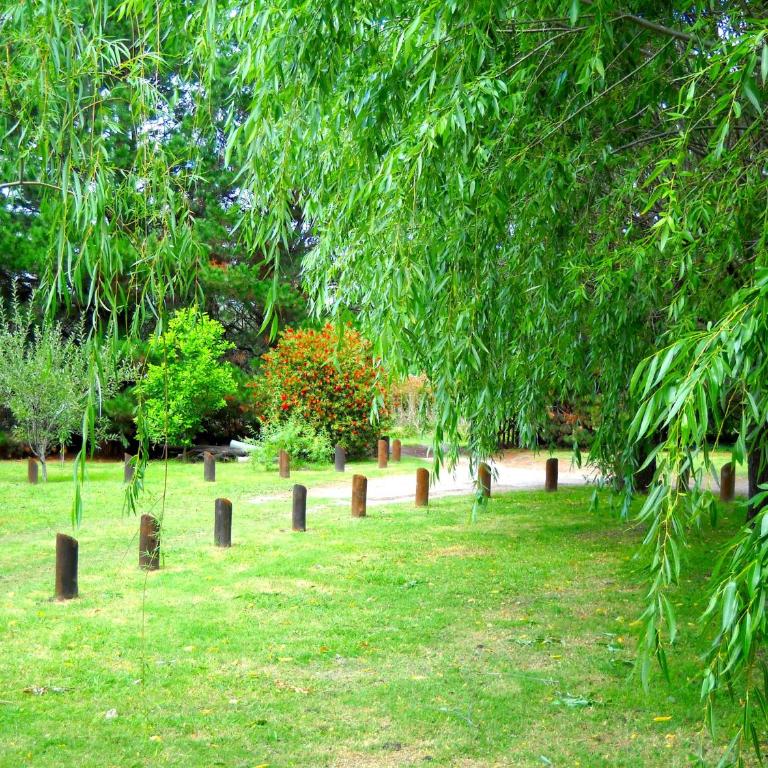 Cabañas Ronca Hue - Vacation Home - 4