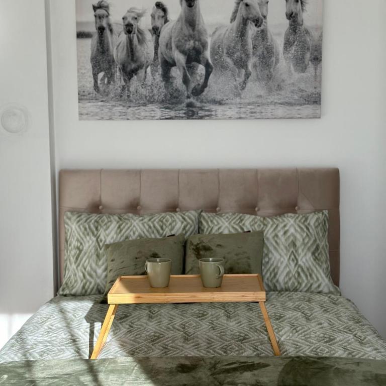 Apartman12 Banja Luka - Apartman sa 1 Spavaćom Sobom - 1