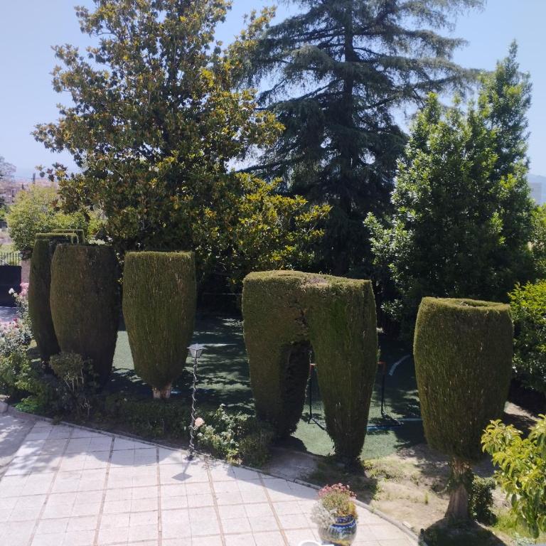 VIVIENDA RURAL HUERTA DEl MEDIO - Four-Bedroom House - 11
