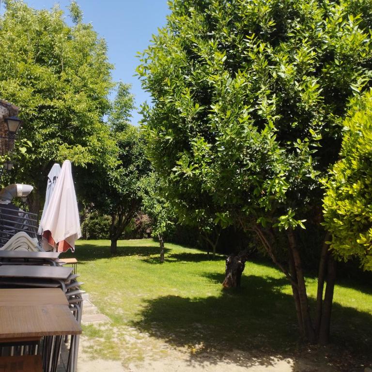 VIVIENDA RURAL HUERTA DEl MEDIO - Four-Bedroom House - 19