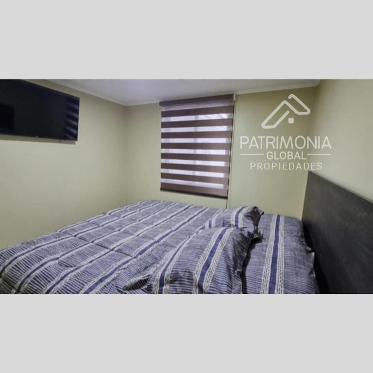 Patrimonia Hostal Los Gladiolos - Habitación con cama extragrande. - 1