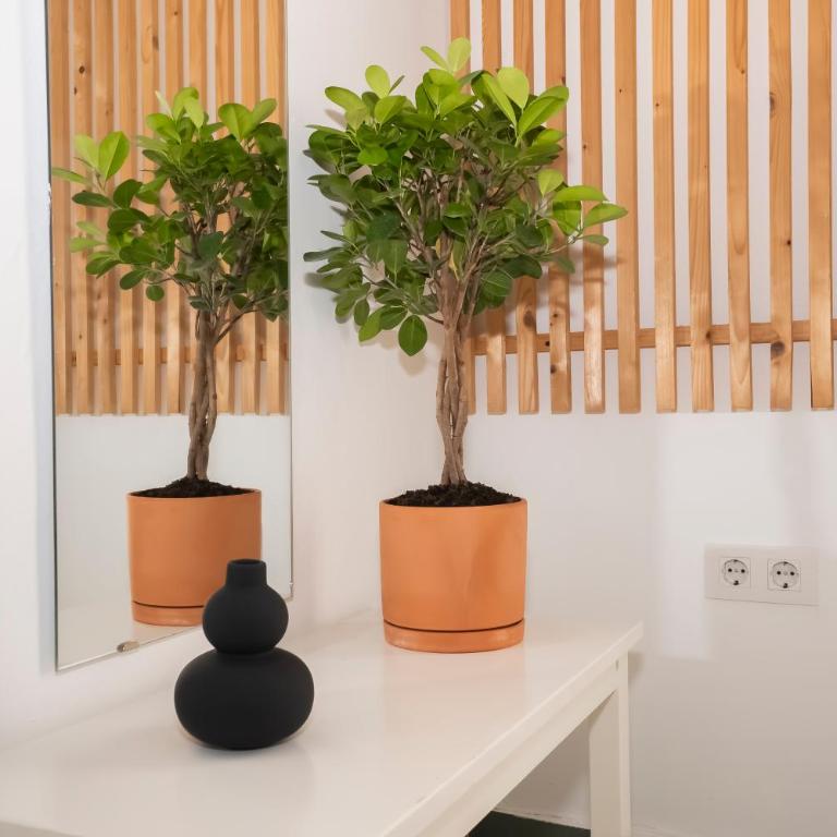 California Apartament Dos de Mayo - Apartamento de 3 dormitorios con balcón - 17